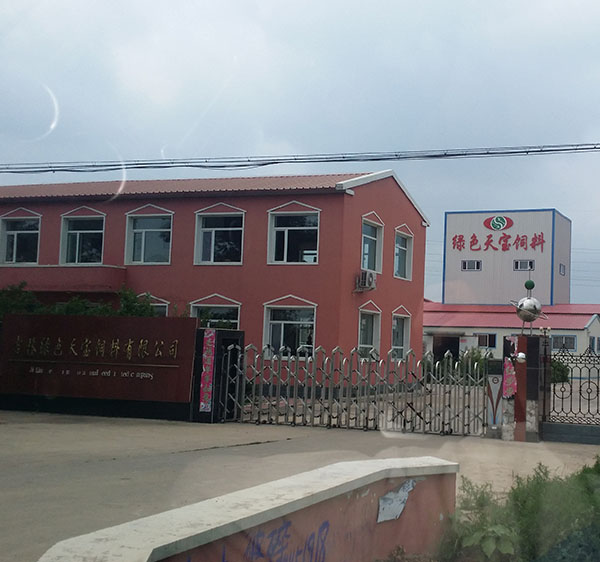  جيلين الأخضر Tianbao تغذية 