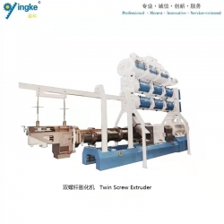 Twin Screw Extruder