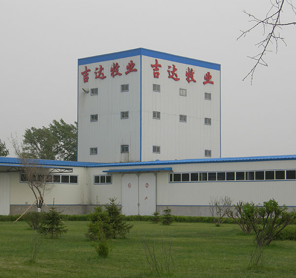 Животноводство в Чанчуне, Джидда