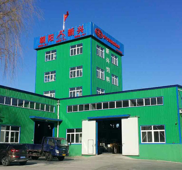 Чаоян Синьсин Лента